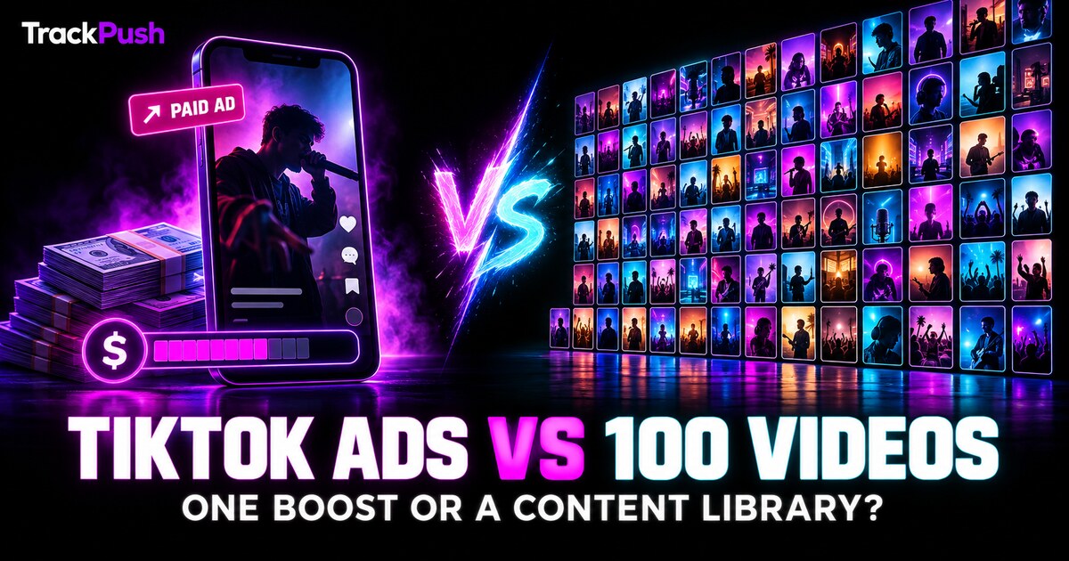 TikTok Ads vs 100 Organic Music Promo Videos — TrackPush